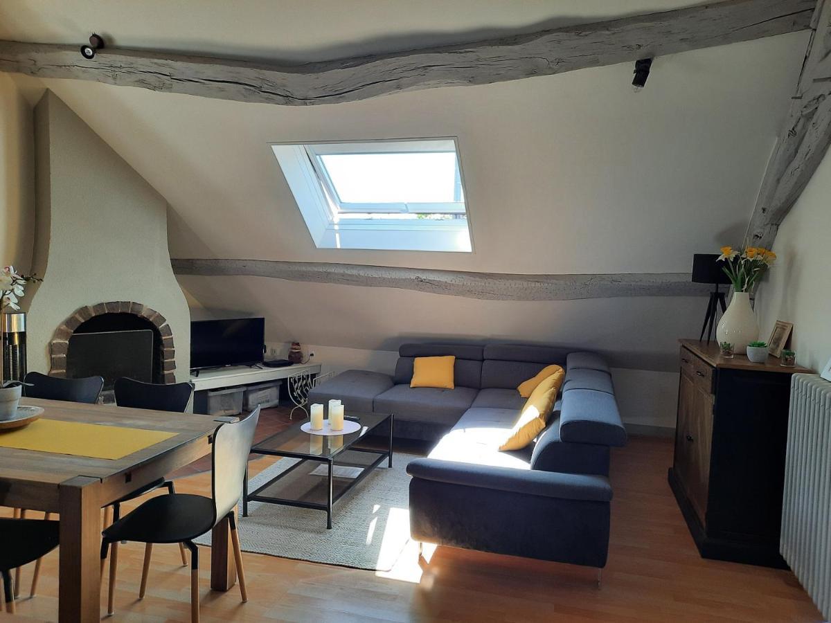 Grand Appartement Tout Confort Proche De Chambord Saint-Claude-de-Diray Buitenkant foto