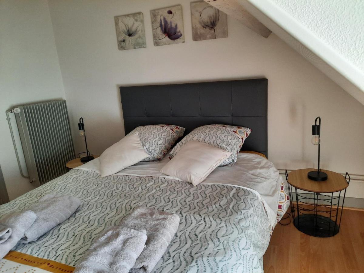 Grand Appartement Tout Confort Proche De Chambord Saint-Claude-de-Diray Buitenkant foto