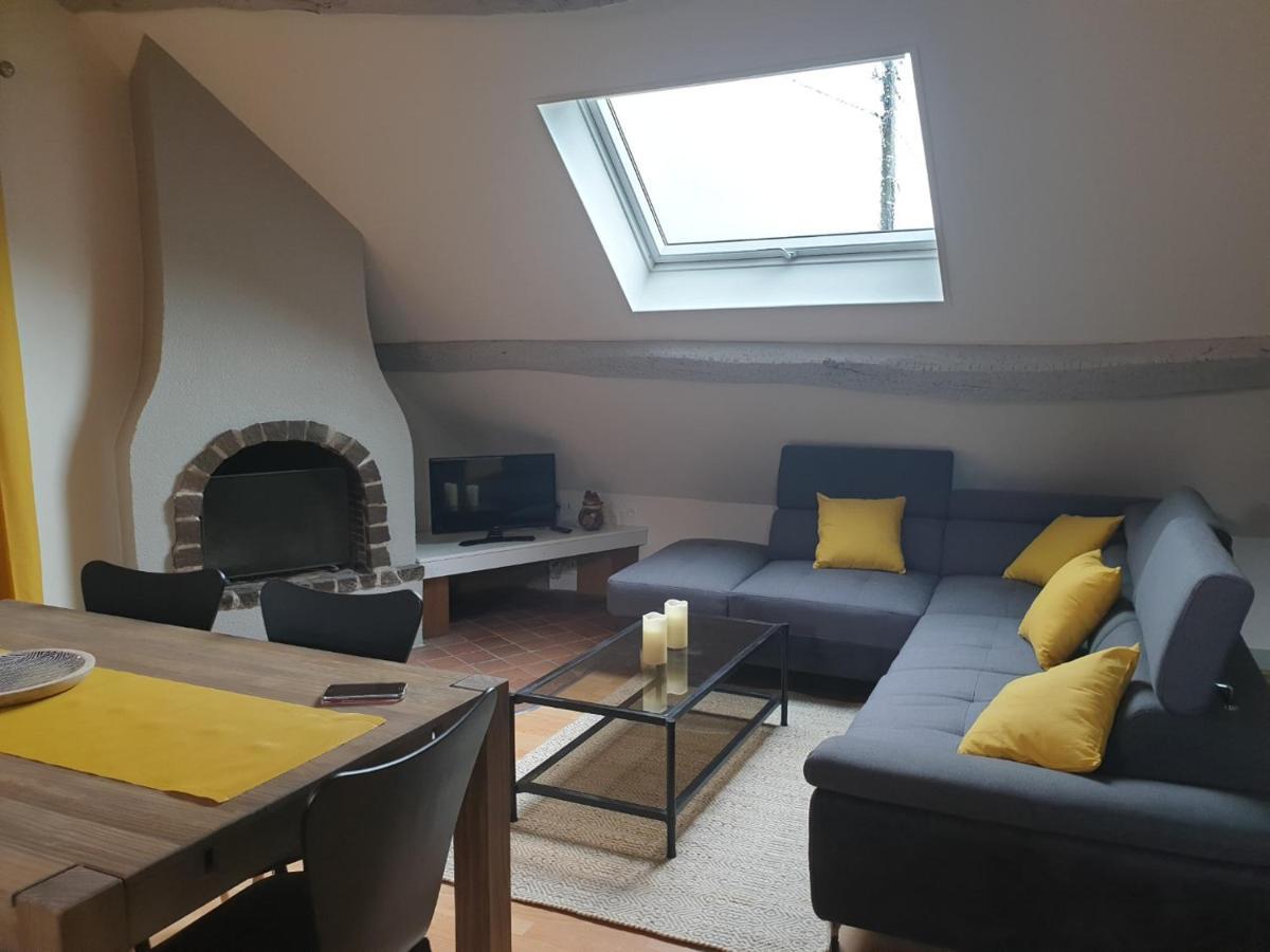 Grand Appartement Tout Confort Proche De Chambord Saint-Claude-de-Diray Buitenkant foto